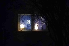 15_Lukácsné-Pásztor-Zsuzsanna-képe